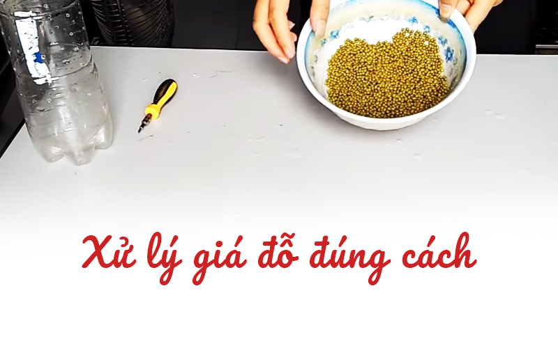 buoc-2-trong-gia-do-bang-vo-chai-nhua