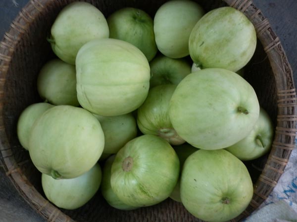 chon-dua-le-ngon