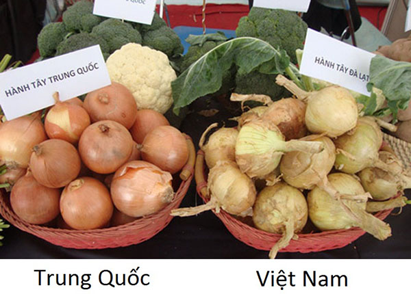 hanh-tay-trung-quoc-va-viet-nam