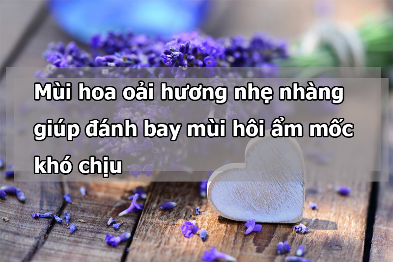 hoa-oai-huong-nhe-nhang-giup-danh-bay-mui-hoi-kho-chiu