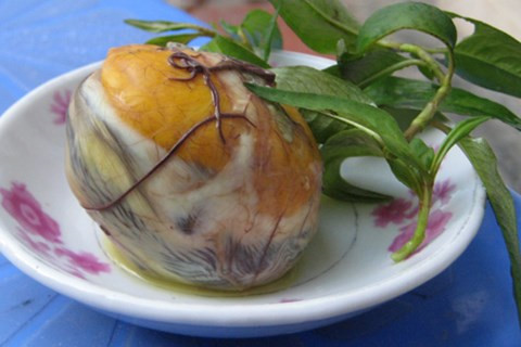 nguoi-day-nen-an-trung-vit-lon