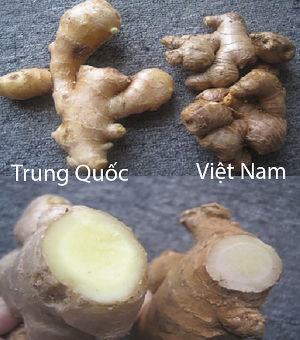phan-biet-cu-gung-trung-quoc-va-cu-gung-viet-nam