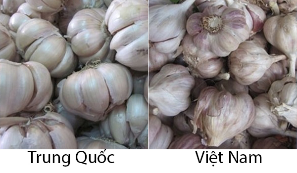 phan-biet-cu-toi-trung-quoc-va-viet-nam