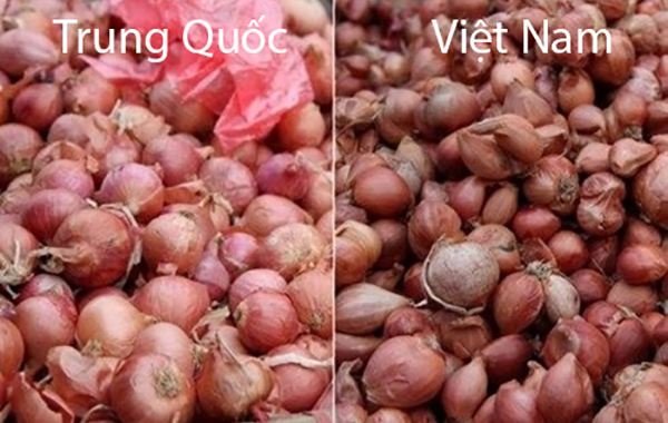 phan-biet-hanh-kho-trung-quoc-va-viet-nam