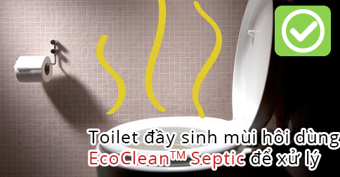 Toilet đầy sinh mùi hôi làm thế nào để xử lý?