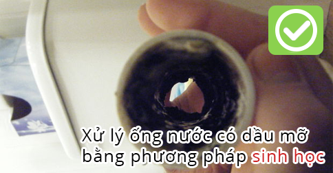 Xử lý ống thoát nước có dầu mỡ